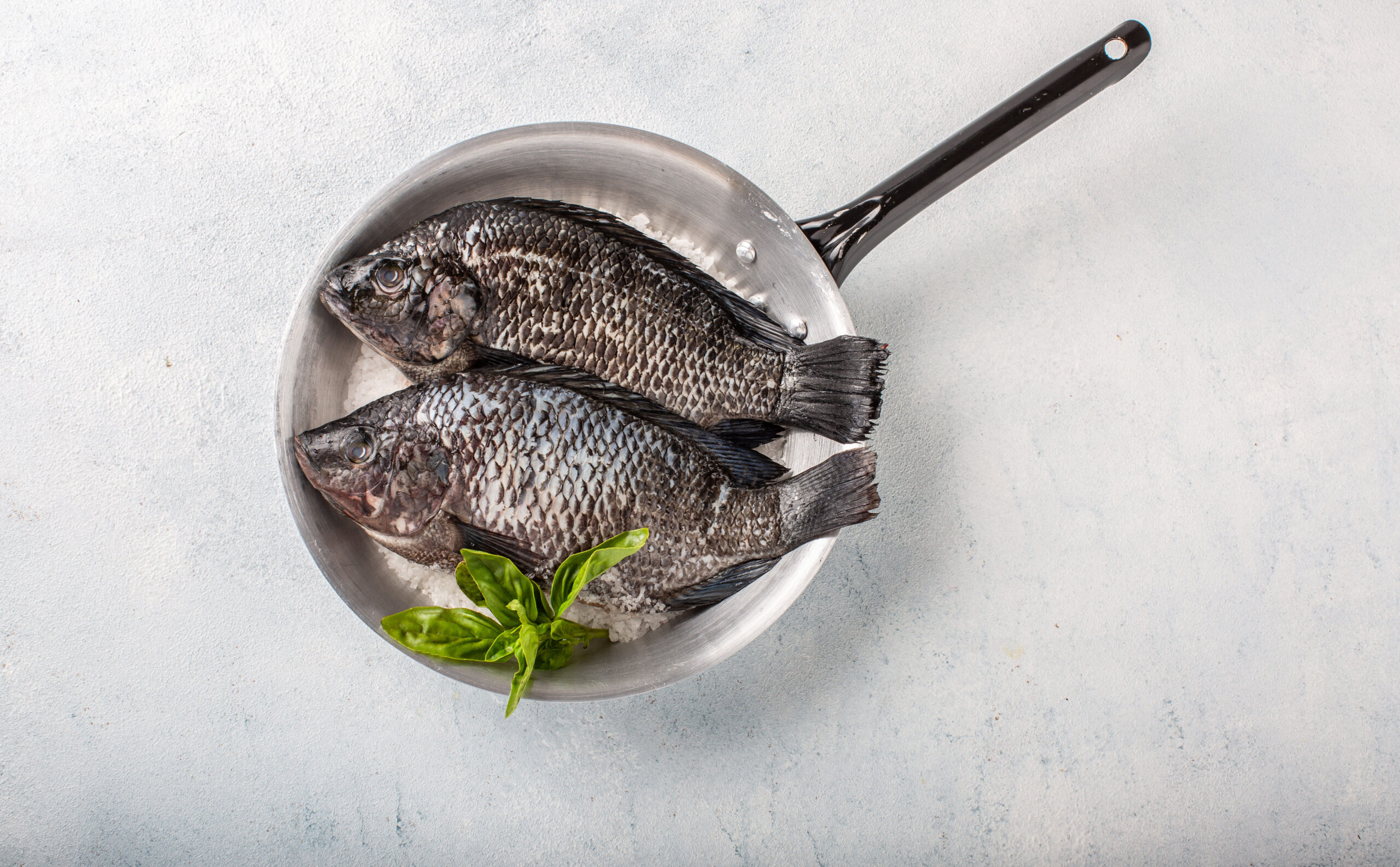 Gutted and Descaled Whole Bream Gutted and Descaled Whole Bream